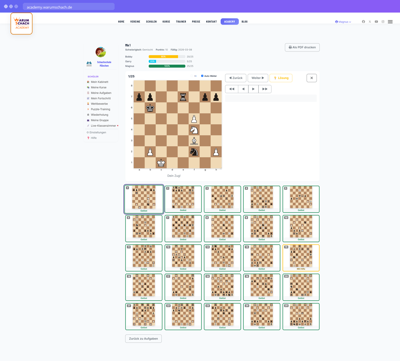 5,7 Mio Lichess-Puzzles + eigene Diagramme